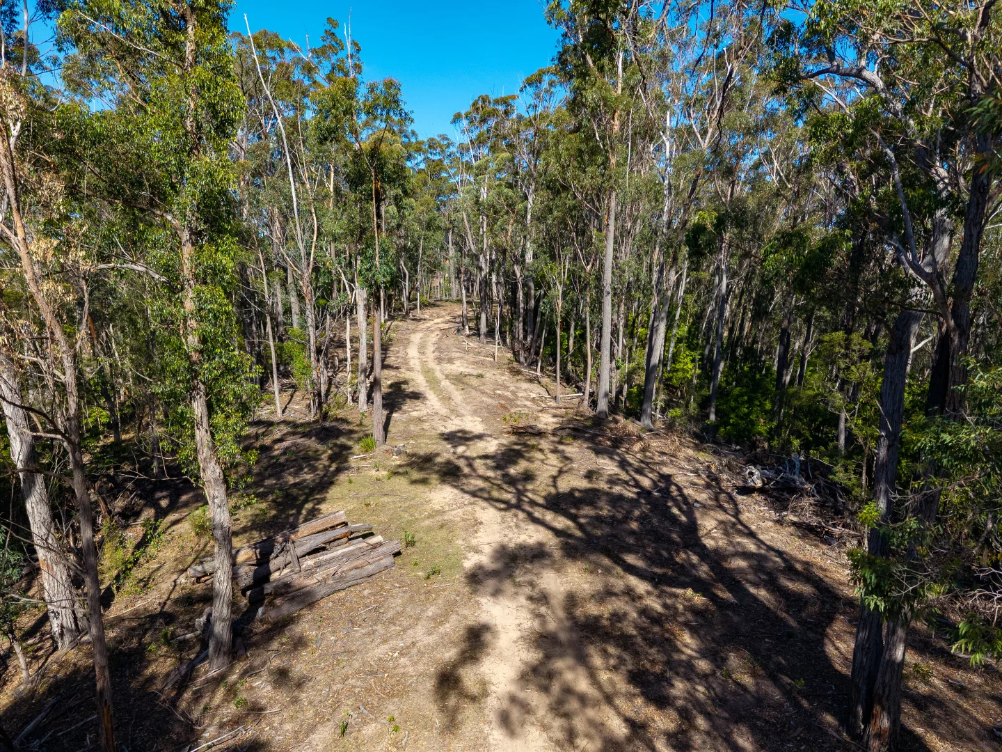 Additional image 17 of 464 Dorrigo Road, Brogo NSW 2550