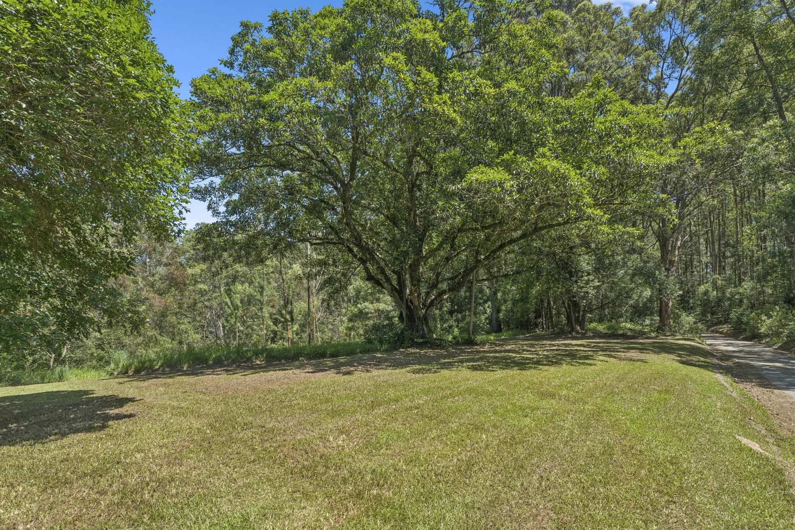 Additional image 29 of 127 Cabans Road, Raleigh NSW 2454