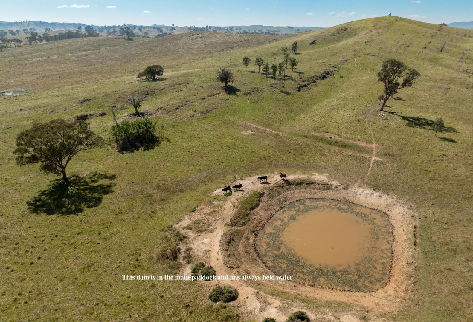 Additional image 14 of 'Shepherds Rest' 4535 Burrendong Way, Euchareena NSW 2866