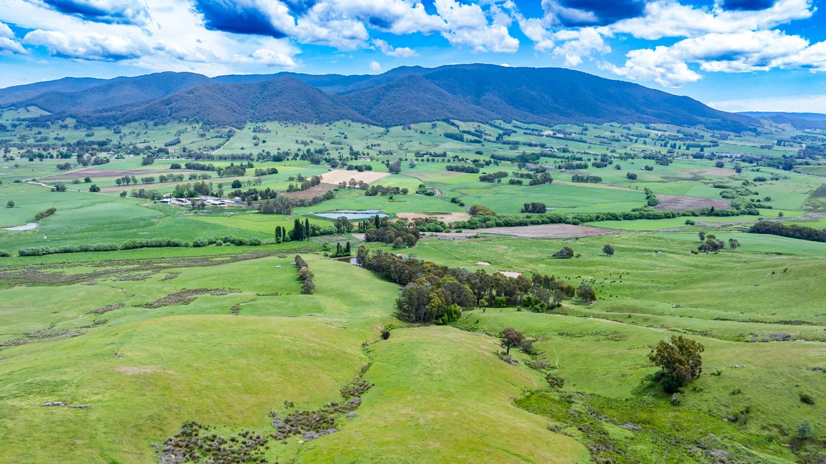 Additional image 23 of Swamp Lane, Dederang VIC 3691