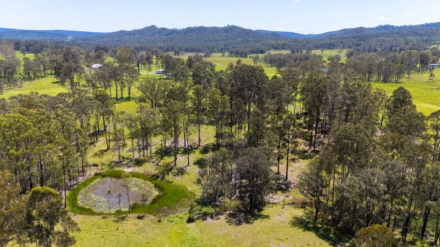 Additional image 21 of 207 Laytons Range Road, Nymboida NSW 2460