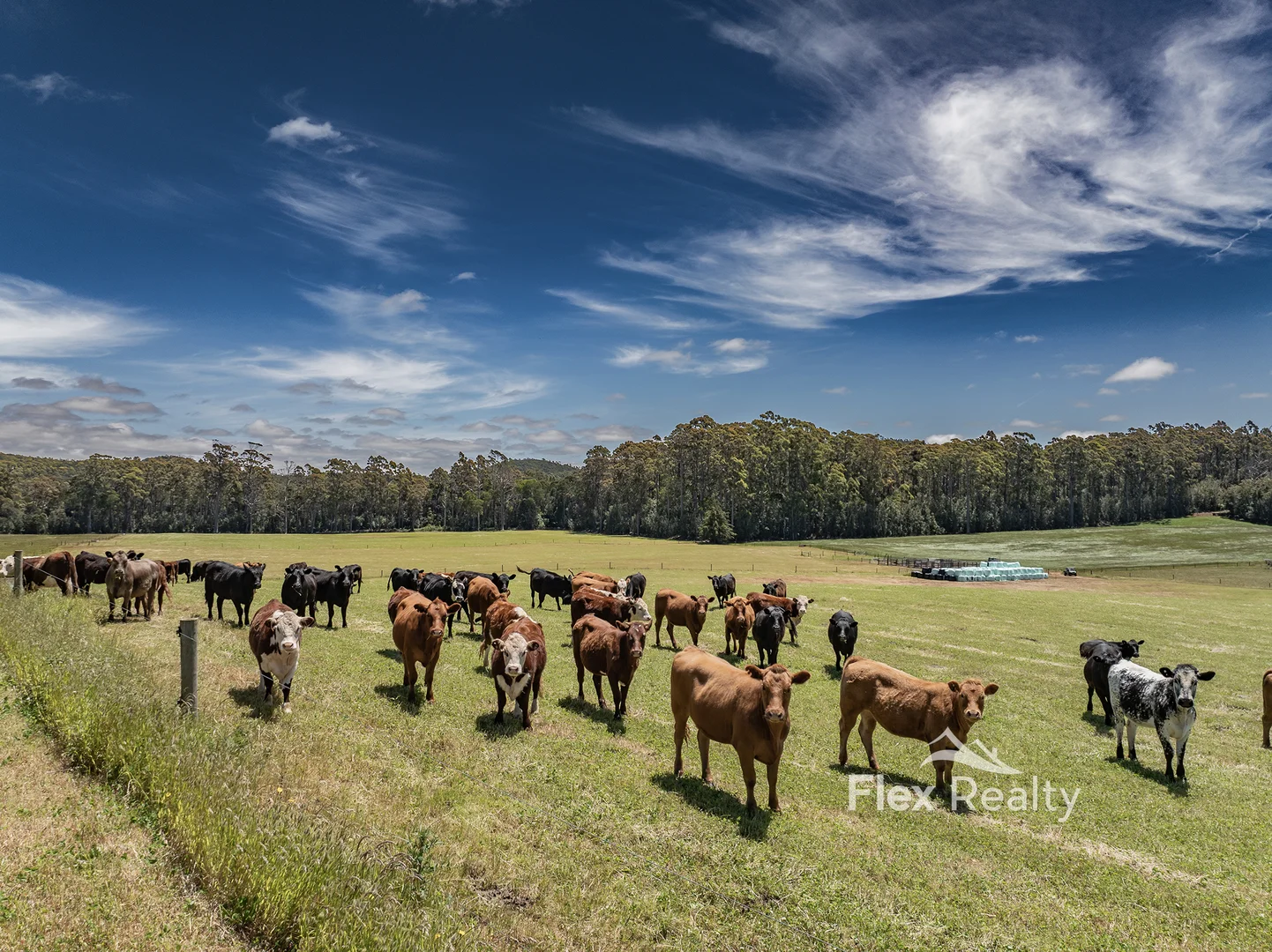 Additional image 36 of 0 Newhaven Road, Mawbanna TAS 7321