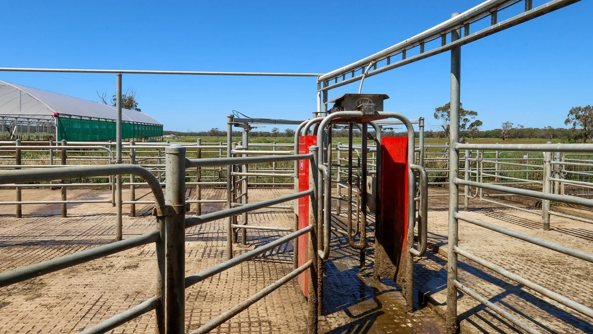 Additional image 18 of 111 Smith Street, Heywood VIC 3304