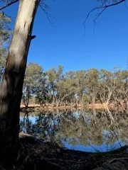 Additional image 17 of 157 Mitchells Lane, Llanelly VIC 3551