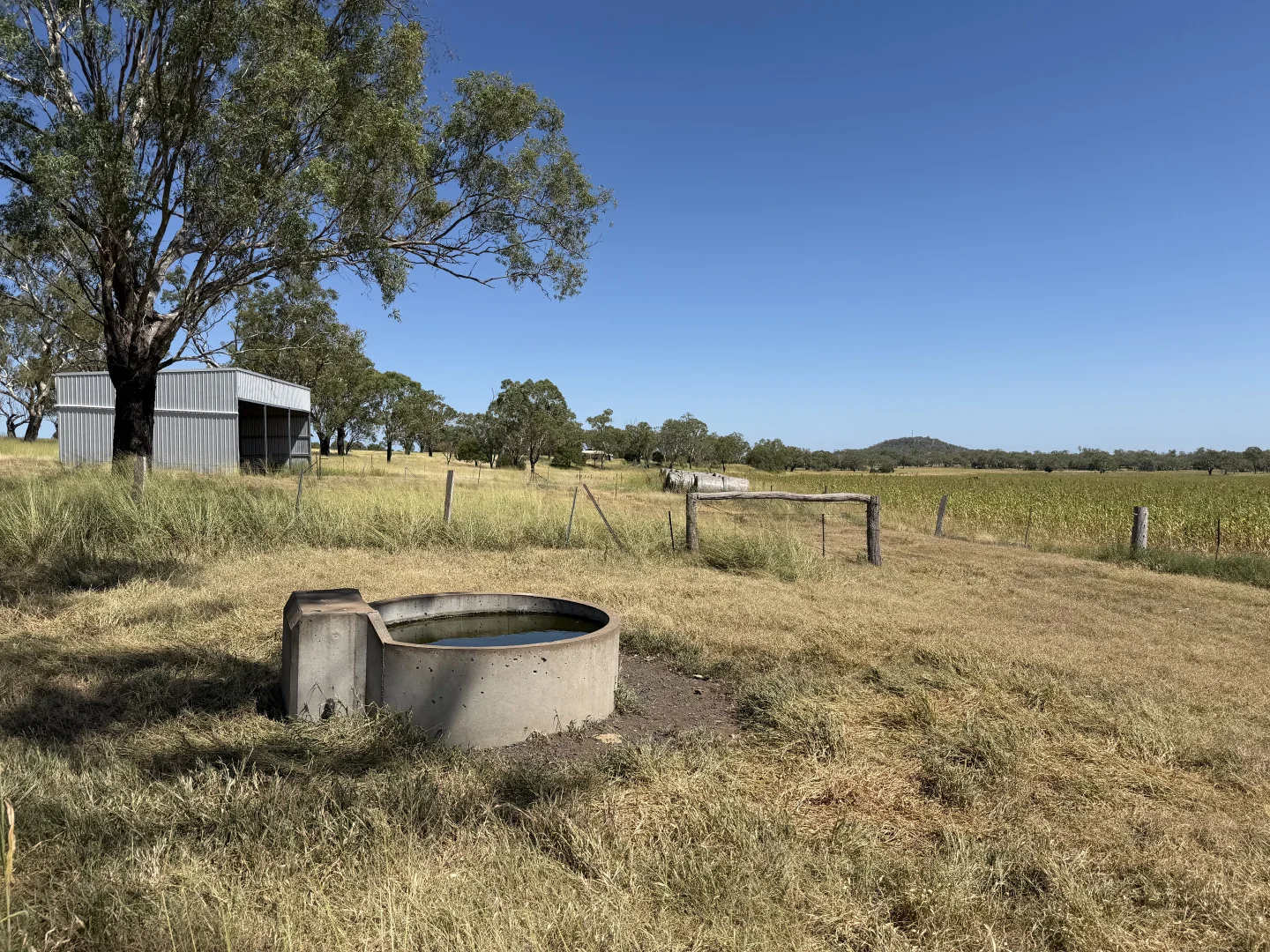 Additional image 19 of 242 Ehrlich Road, Linthorpe QLD 4356