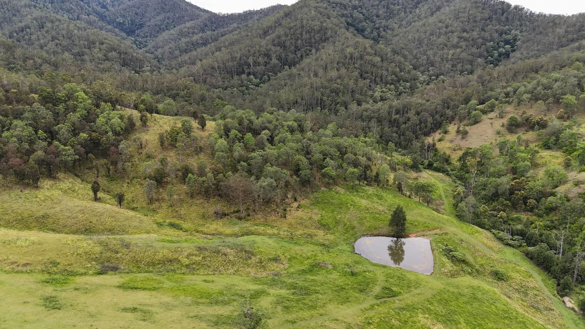 Additional image 6 of 350 Smiths Creek Rd, Lower Creek NSW 2440