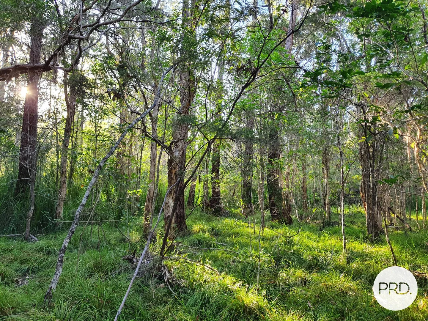Additional image 37 of 359 Herons Creek Road, Herons Creek NSW 2439