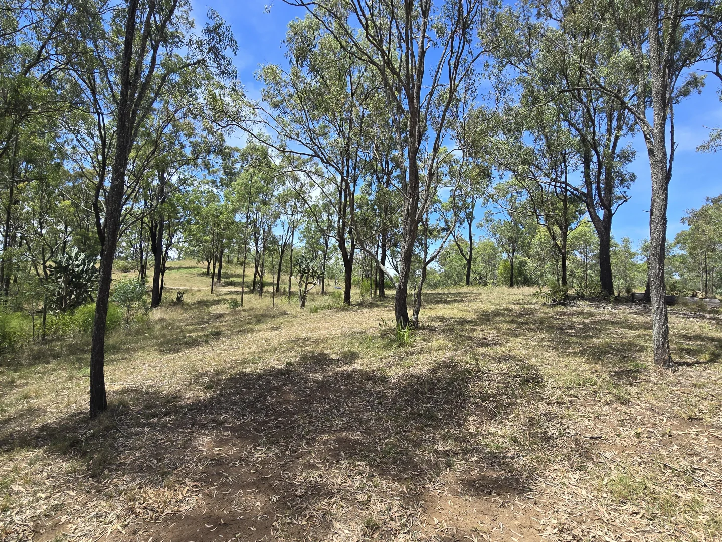 Additional image 19 of Lot 389 East Cooyar Road, Cooyar QLD 4402