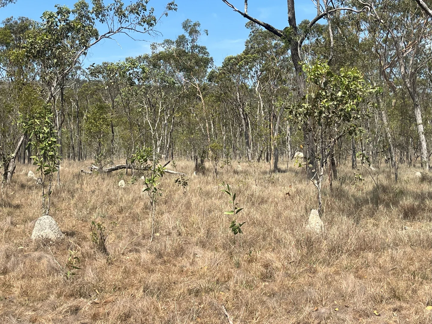 Additional image 25 of Blunder Park Station 382 Blunder Park Road, Ravenshoe QLD 4888