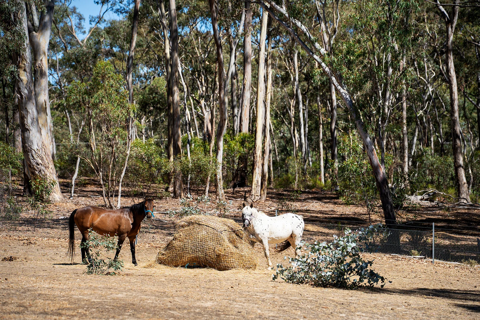 Additional image 3 of 207 Blakeley Road, Barkers Creek VIC 3451