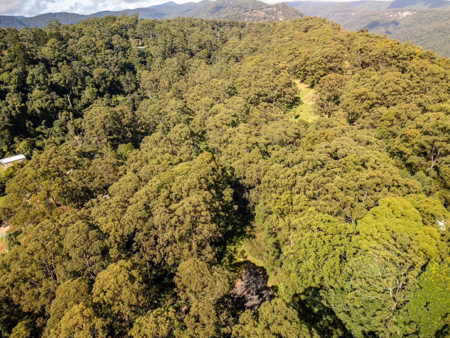 Additional image 21 of 618 Binna Burra Road, Beechmont QLD 4211