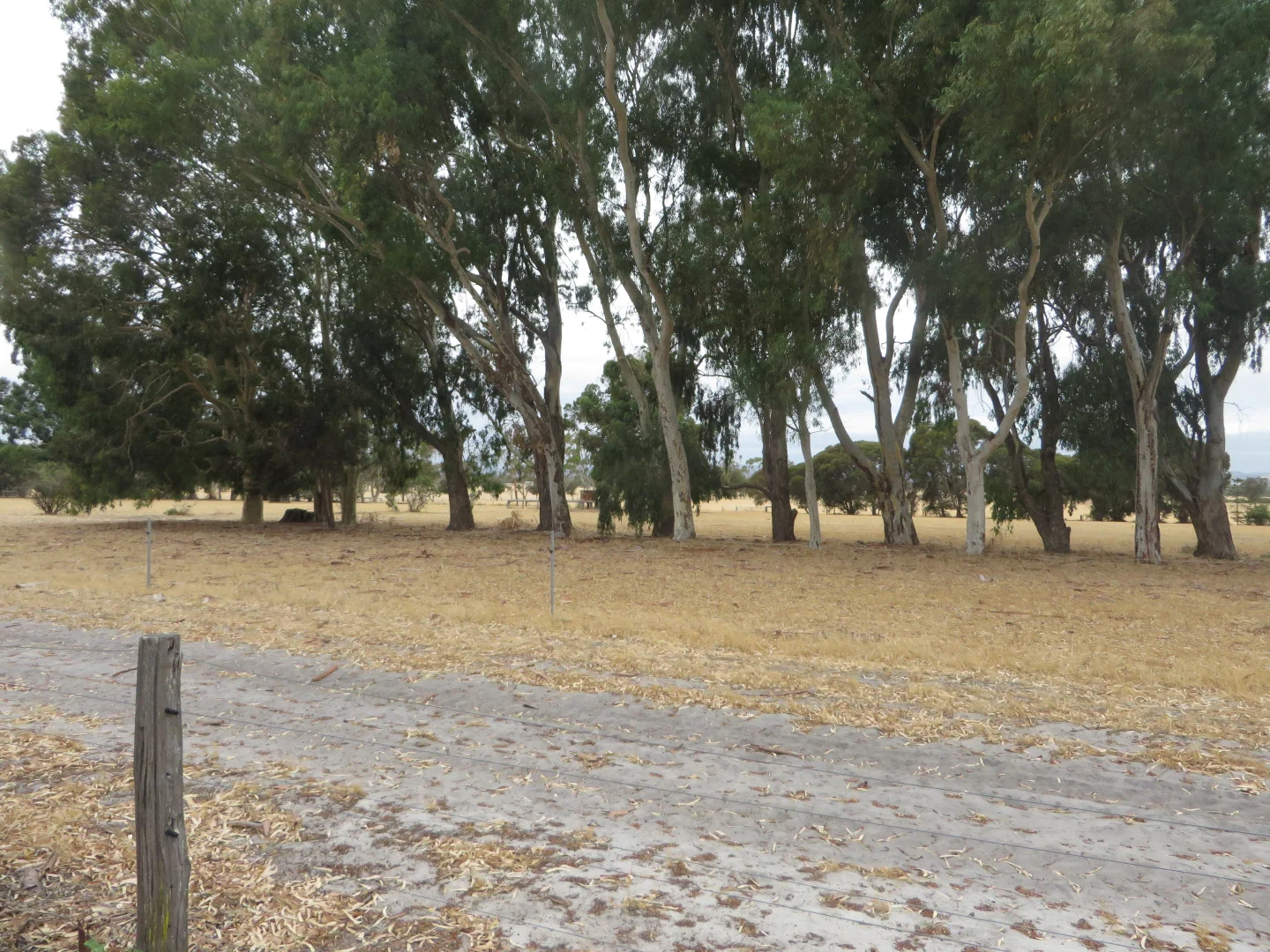 Additional image 18 of 89 Alexander Road, Waroona WA 6215