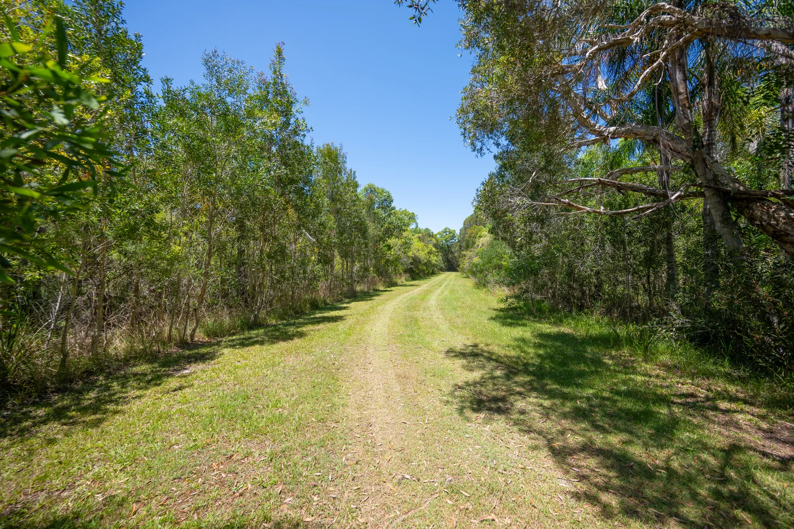 Additional image 26 of 2536 Solitary Islands Way, Arrawarra NSW 2456