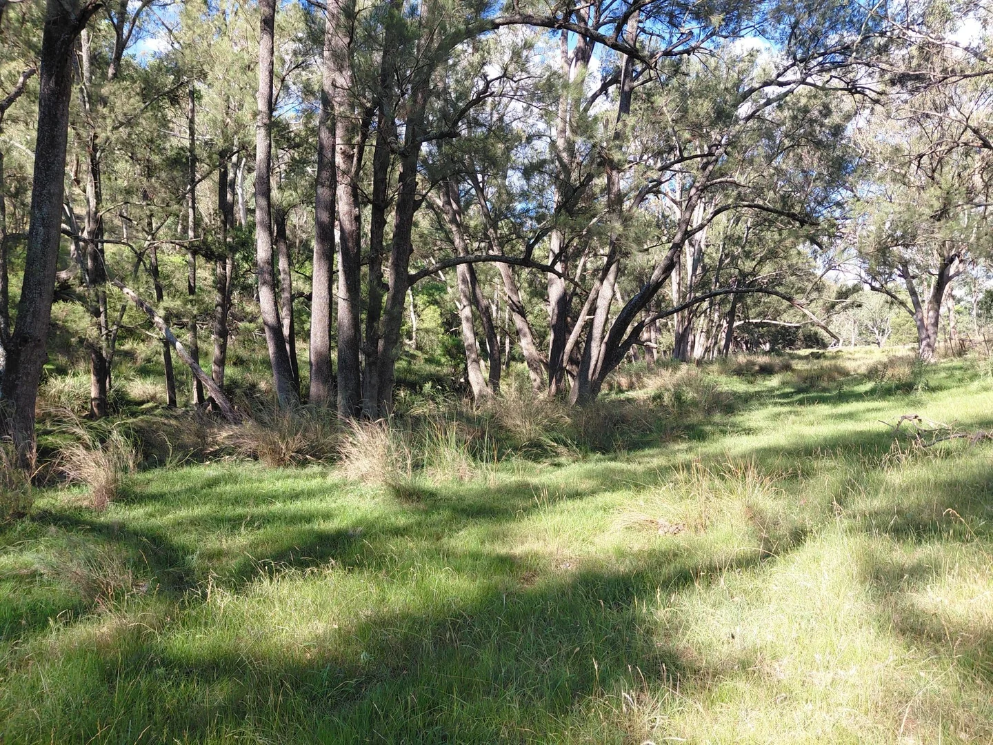Additional image 2 of Lot 82 4108 Tent Hill Road, Emmaville NSW 2371