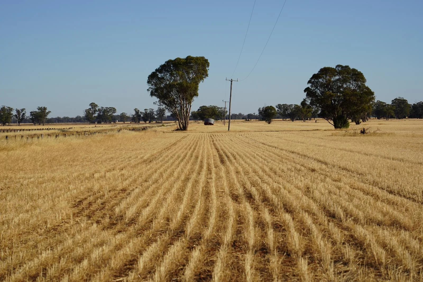 Additional image 15 of Part Woodville Blackstock Hill Road, Peak Hill NSW 2869