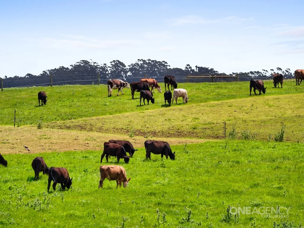 Additional image 29 of 108 Mclachlans Road, Irishtown TAS 7330