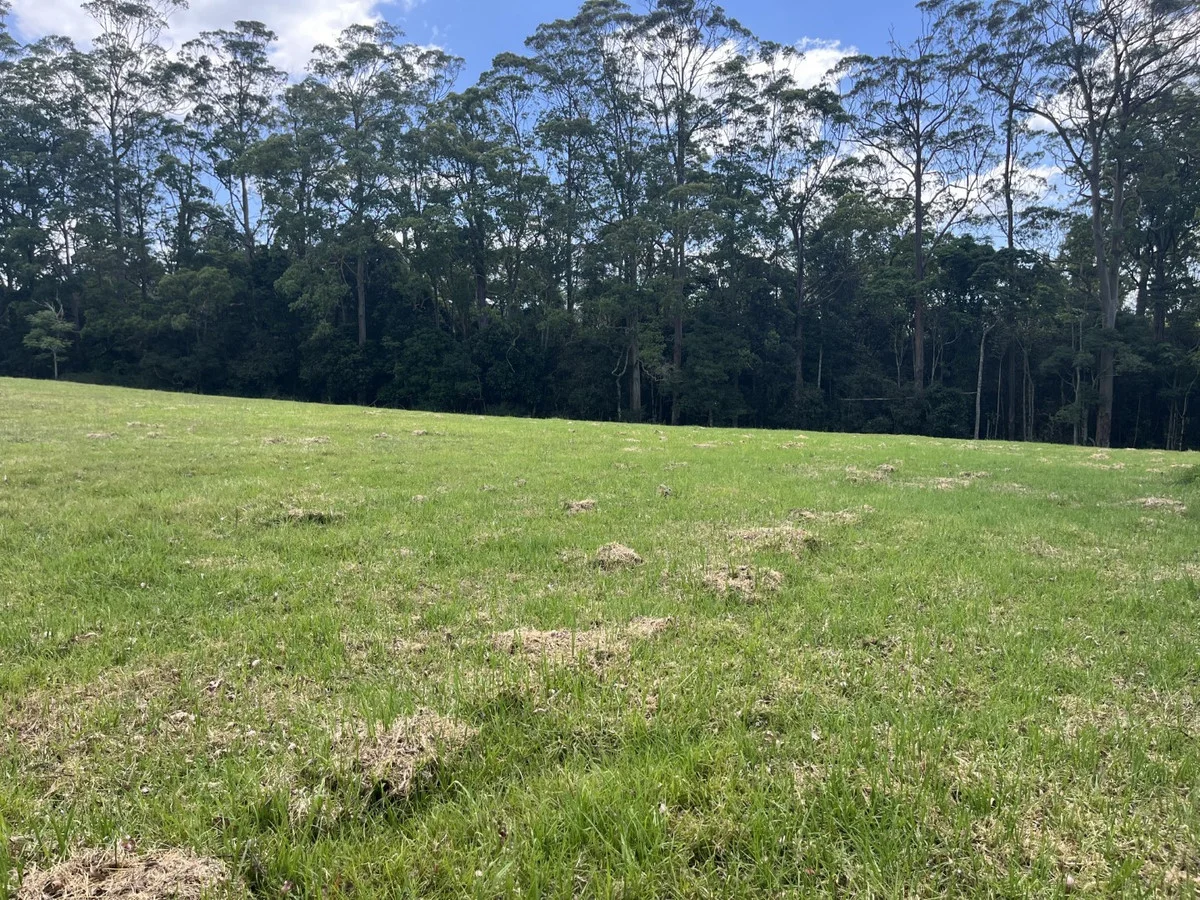Additional image 3 of Lot 39 Esk-Hampton Road, Ravensbourne QLD 4352
