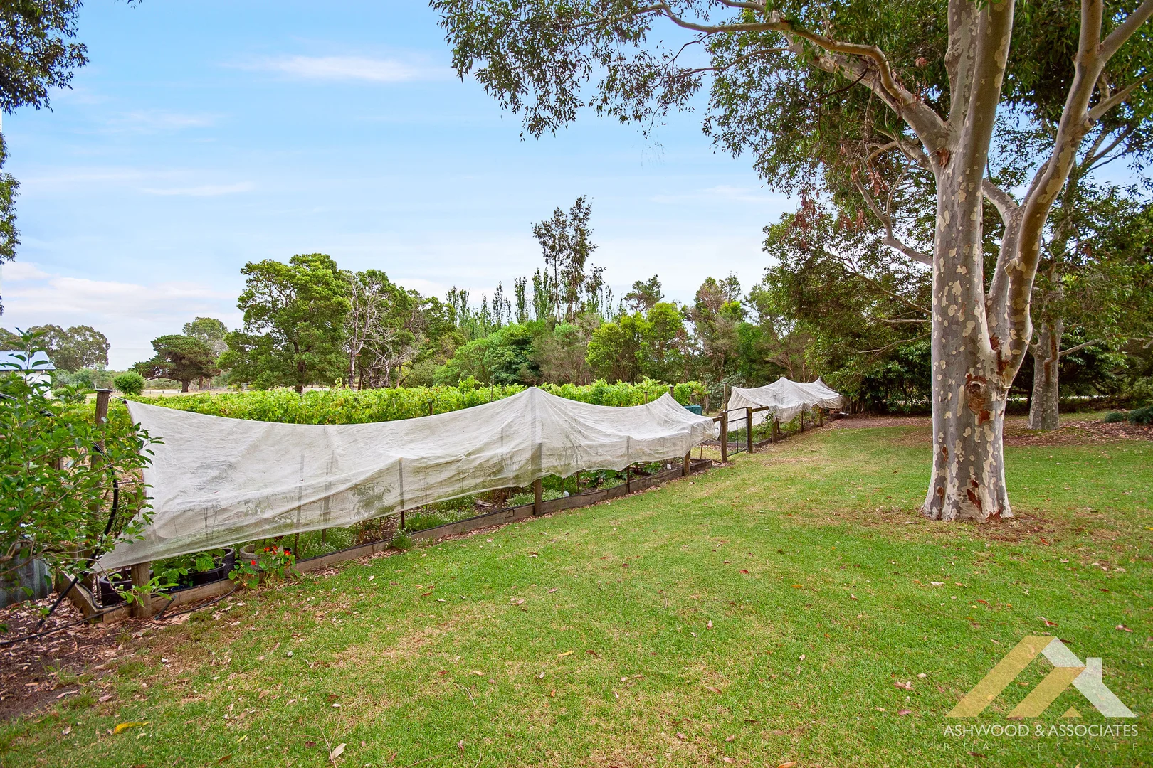 Additional image 27 of 190 Reynolds Road, Metung VIC 3904