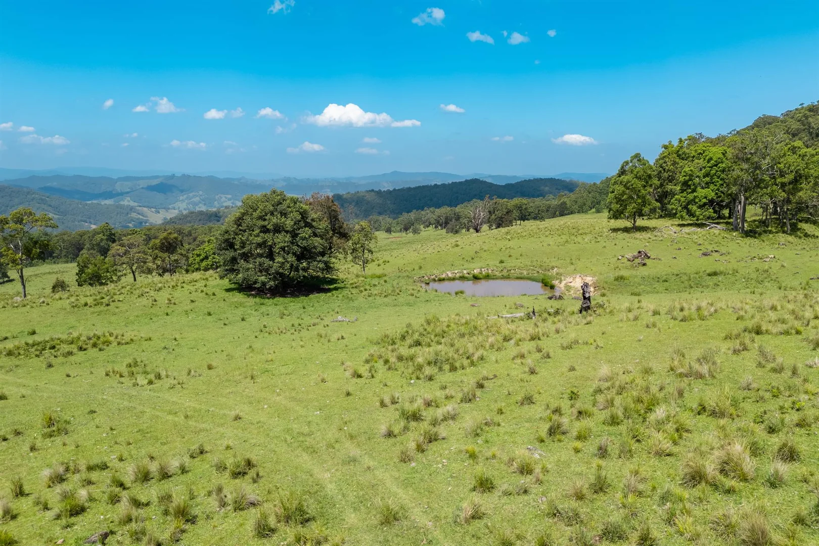 Additional image 20 of 321 Masseys Creek Road, Eccleston NSW 2311