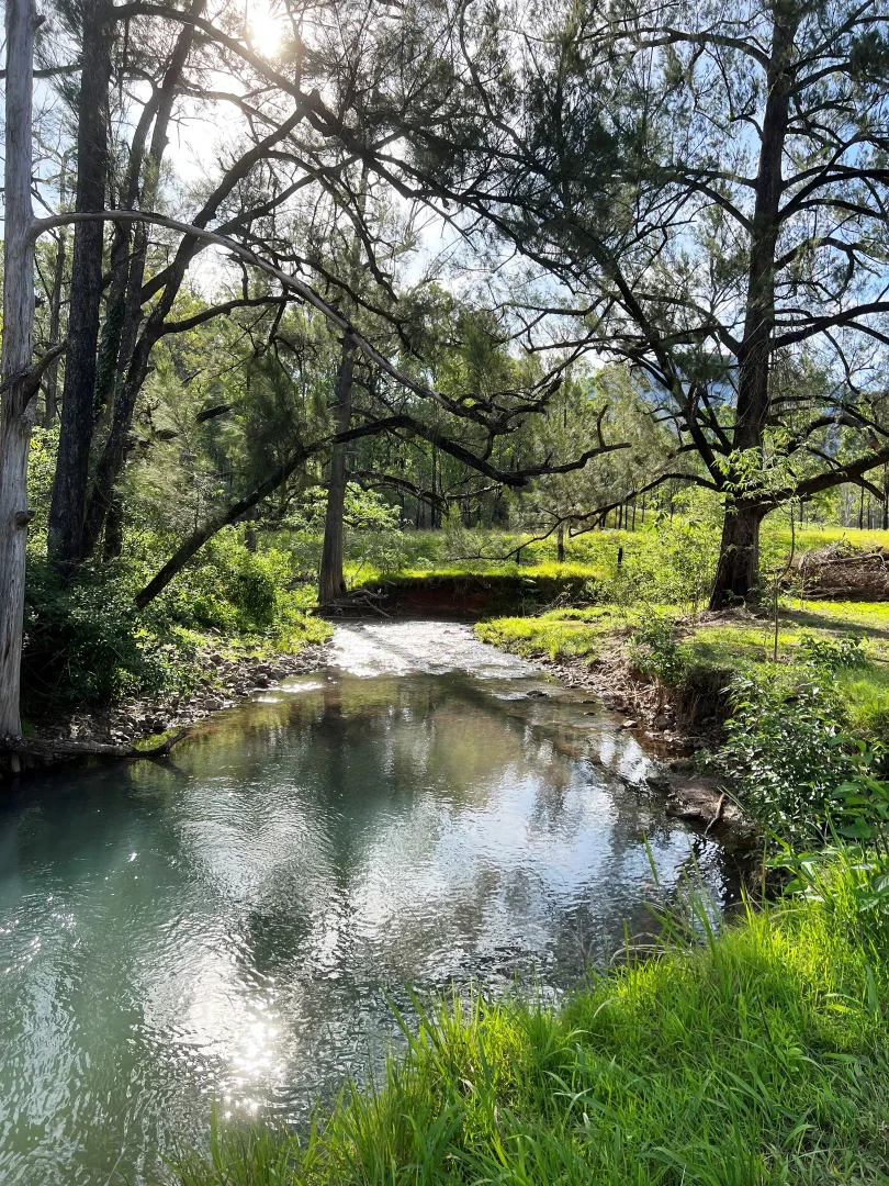 Additional image 11 of 6892 Gwydir Highway, Cangai NSW 2460