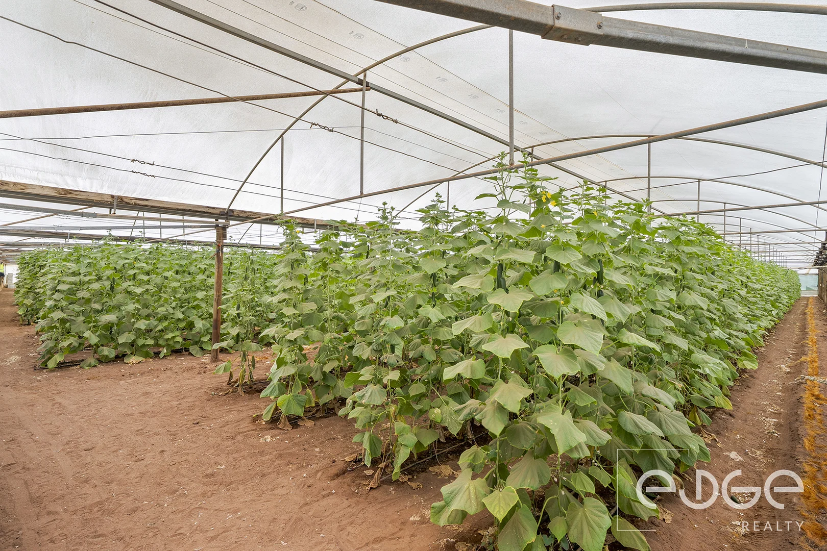 Additional image 8 of Lot 390 Port Gawler Road, Port Gawler SA 5501