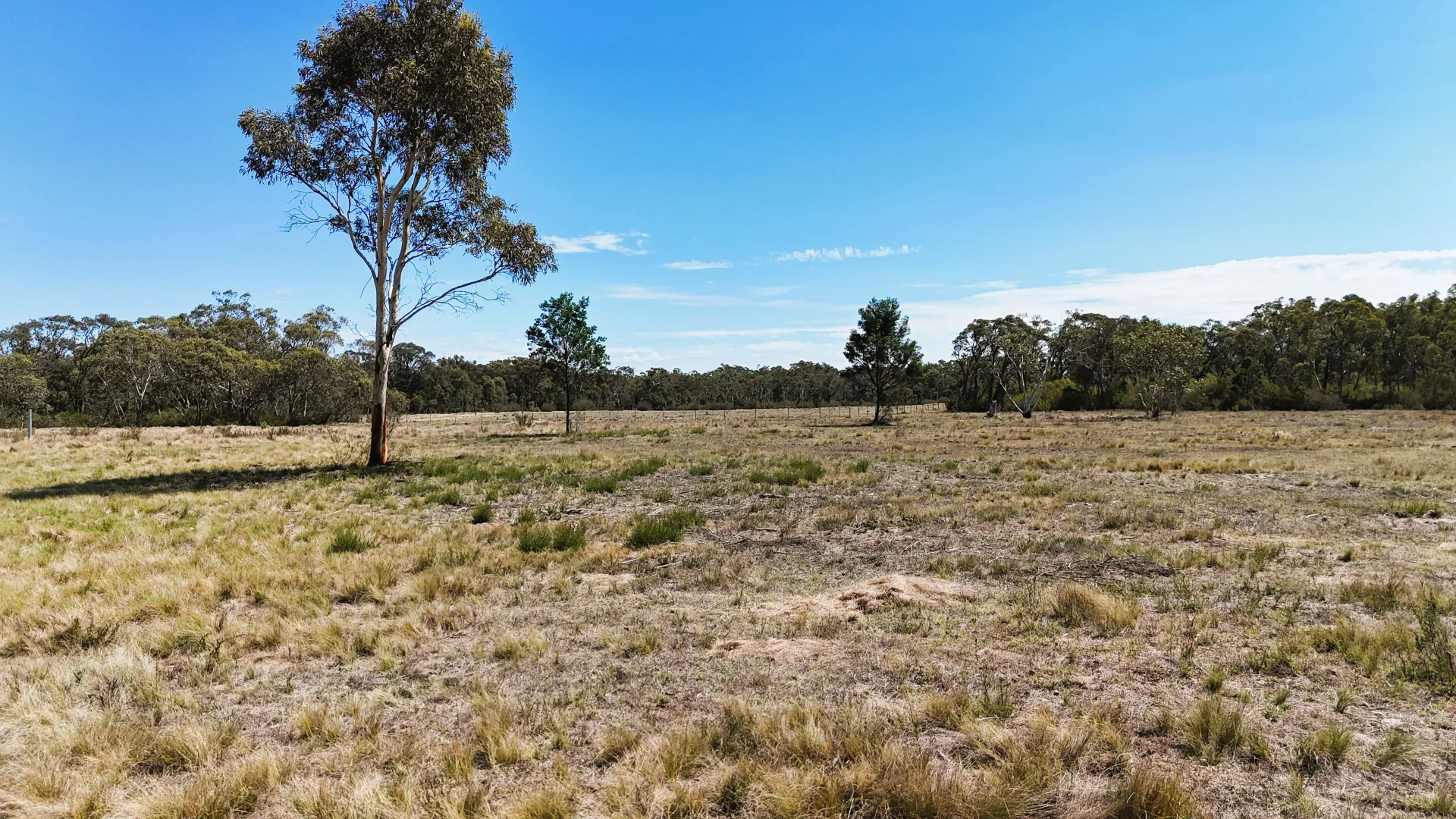 Additional image 2 of 1024 MAYFIELD RD, Braidwood NSW 2622