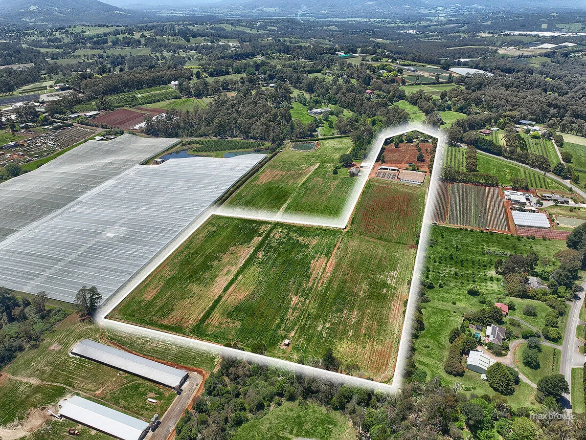 Additional image 36 of 250 Wandin Creek Road, Wandin East VIC 3139