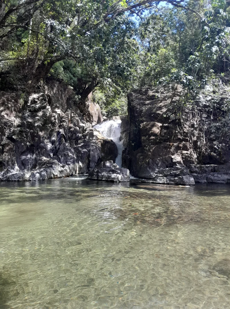 Additional image 13 of 252 Jackson Road, Shell Pocket QLD 4855