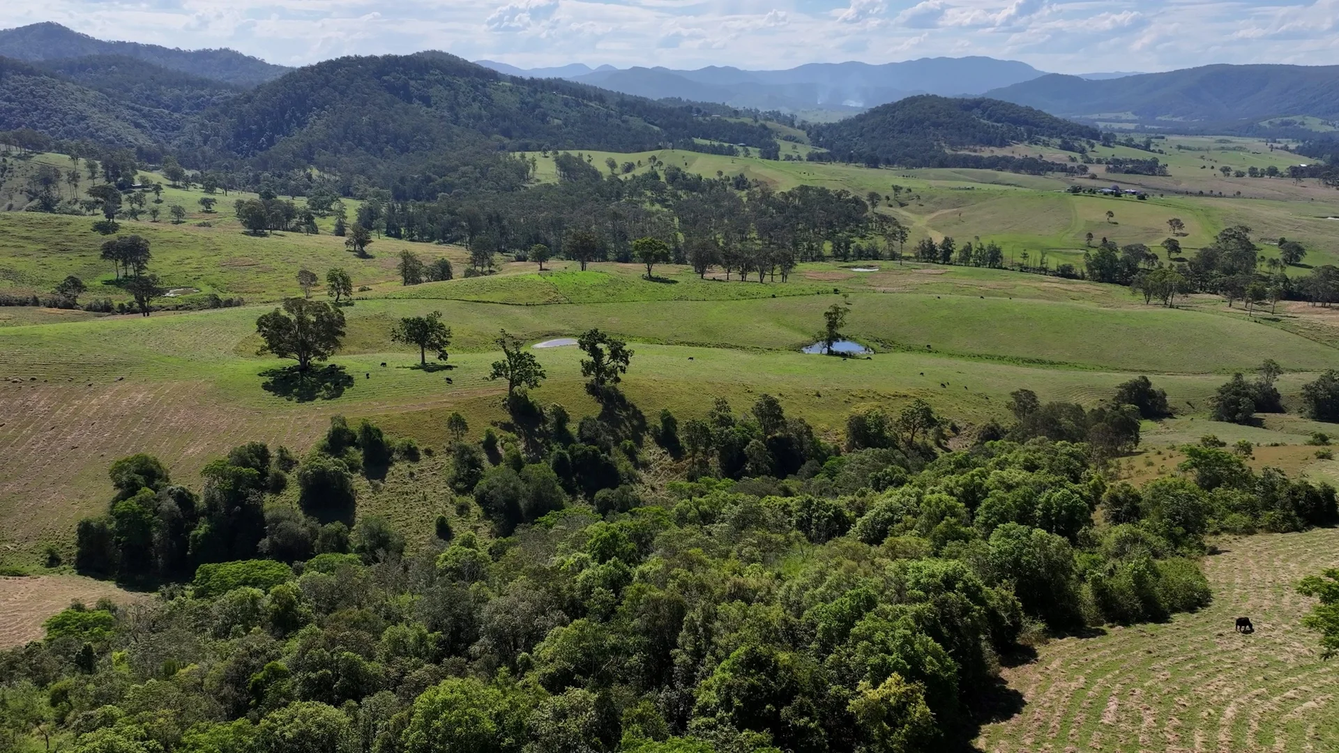 Additional image 7 of 5985 Oxley Highway, Ellenborough NSW 2446