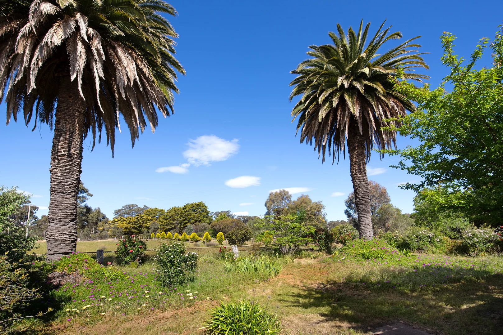 Additional image 10 of 43 Castlemaine-Maldon Road, McKenzie Hill VIC 3451