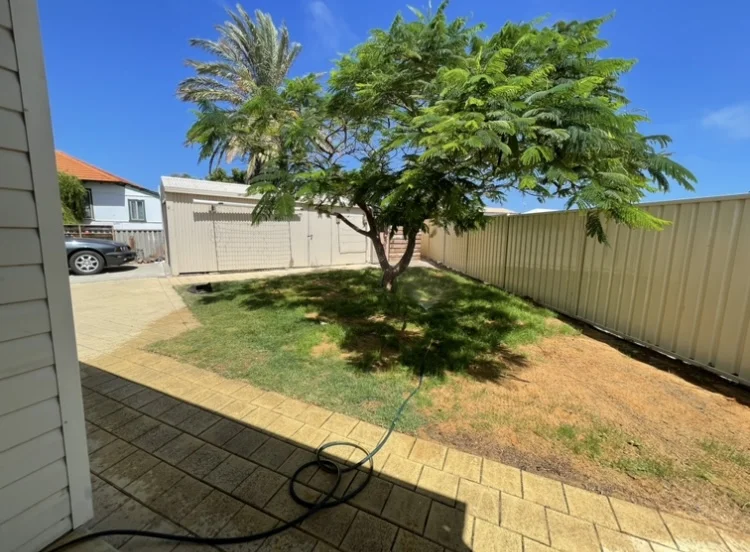 Additional image 16 of 225 Evans Street, Beachlands WA 6530