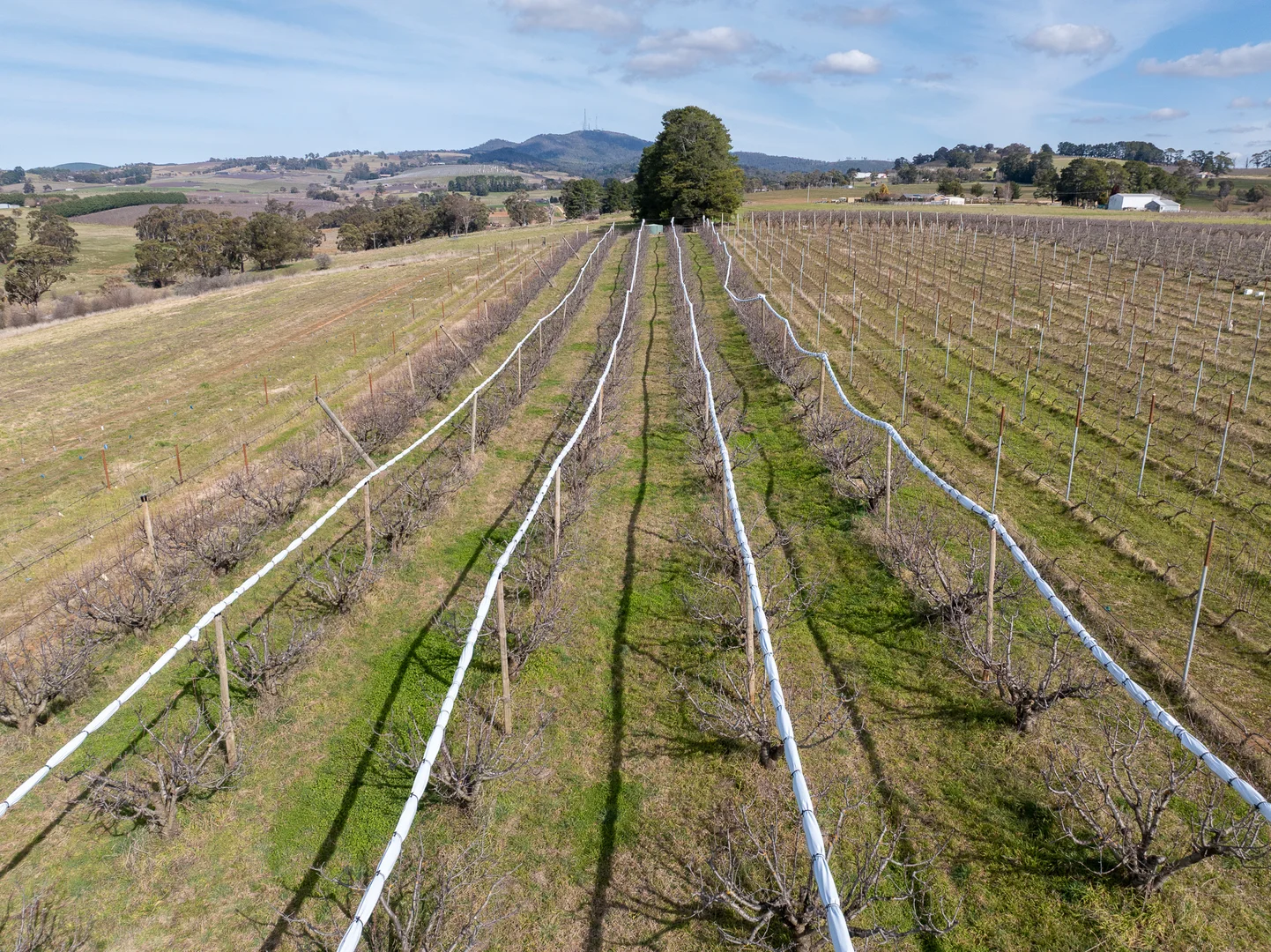 Additional image 14 of 96 Akhurst Road, Orange NSW 2800