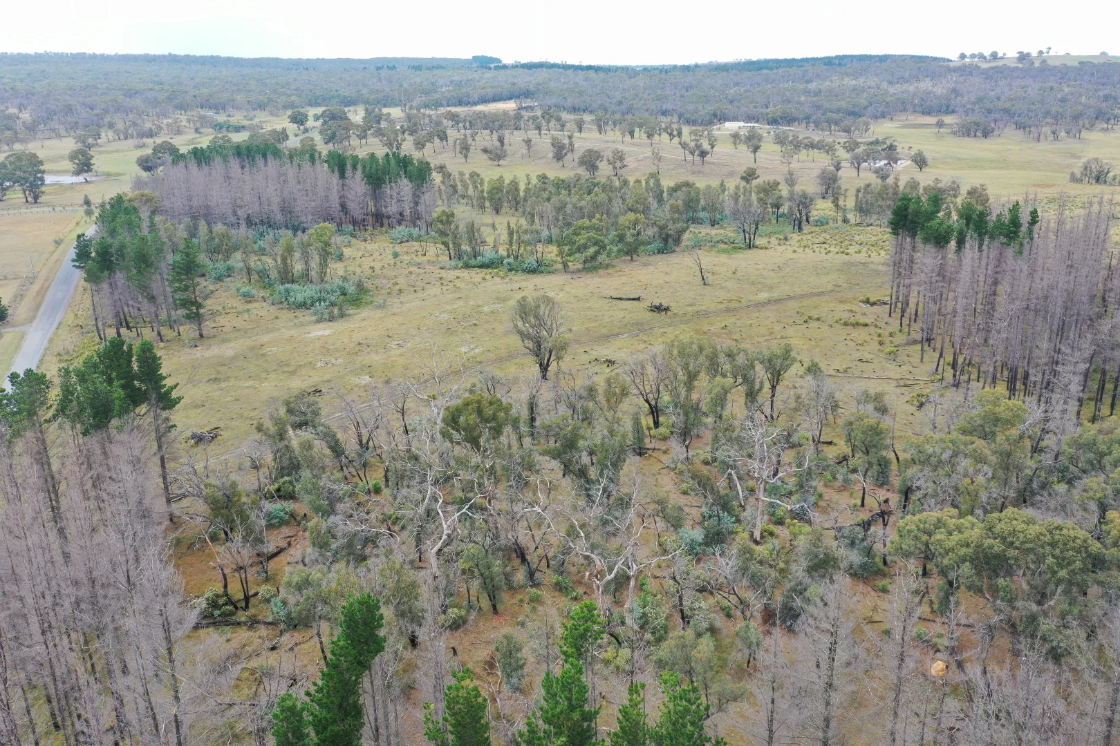 Additional image 11 of 186 Old Station Creek Road, Taralga NSW 2580