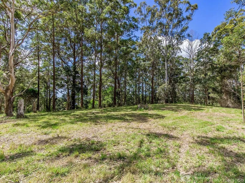 Additional image 10 of 1806 Gold Coast Springbrook Road, Springbrook QLD 4213