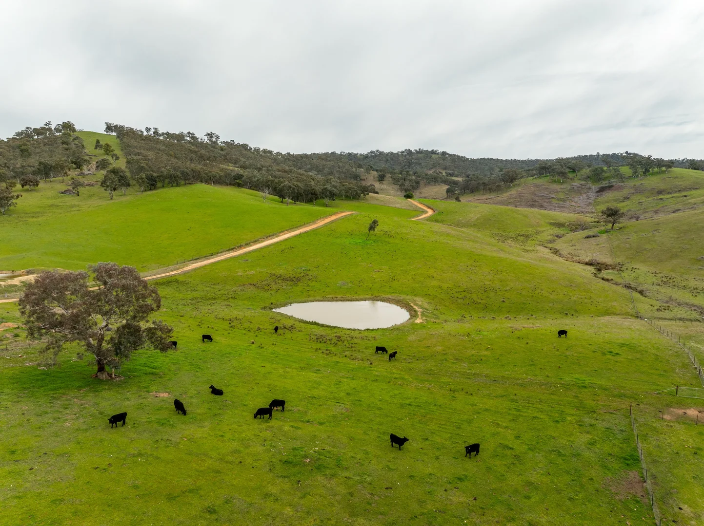 Additional image 8 of 2543 Westbrook Road, Oberne Creek NSW 2650