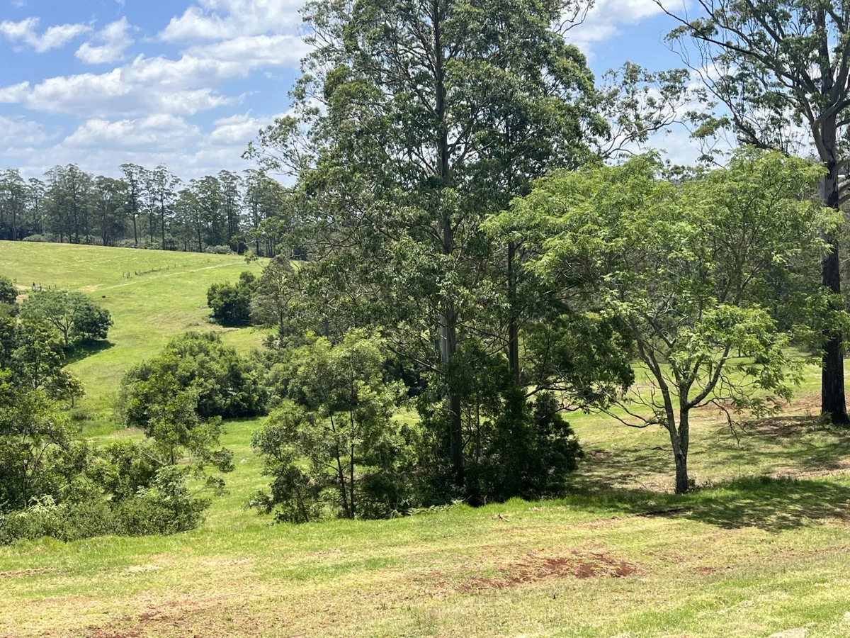 Additional image 9 of Lot 39 Esk-Hampton Road, Ravensbourne QLD 4352