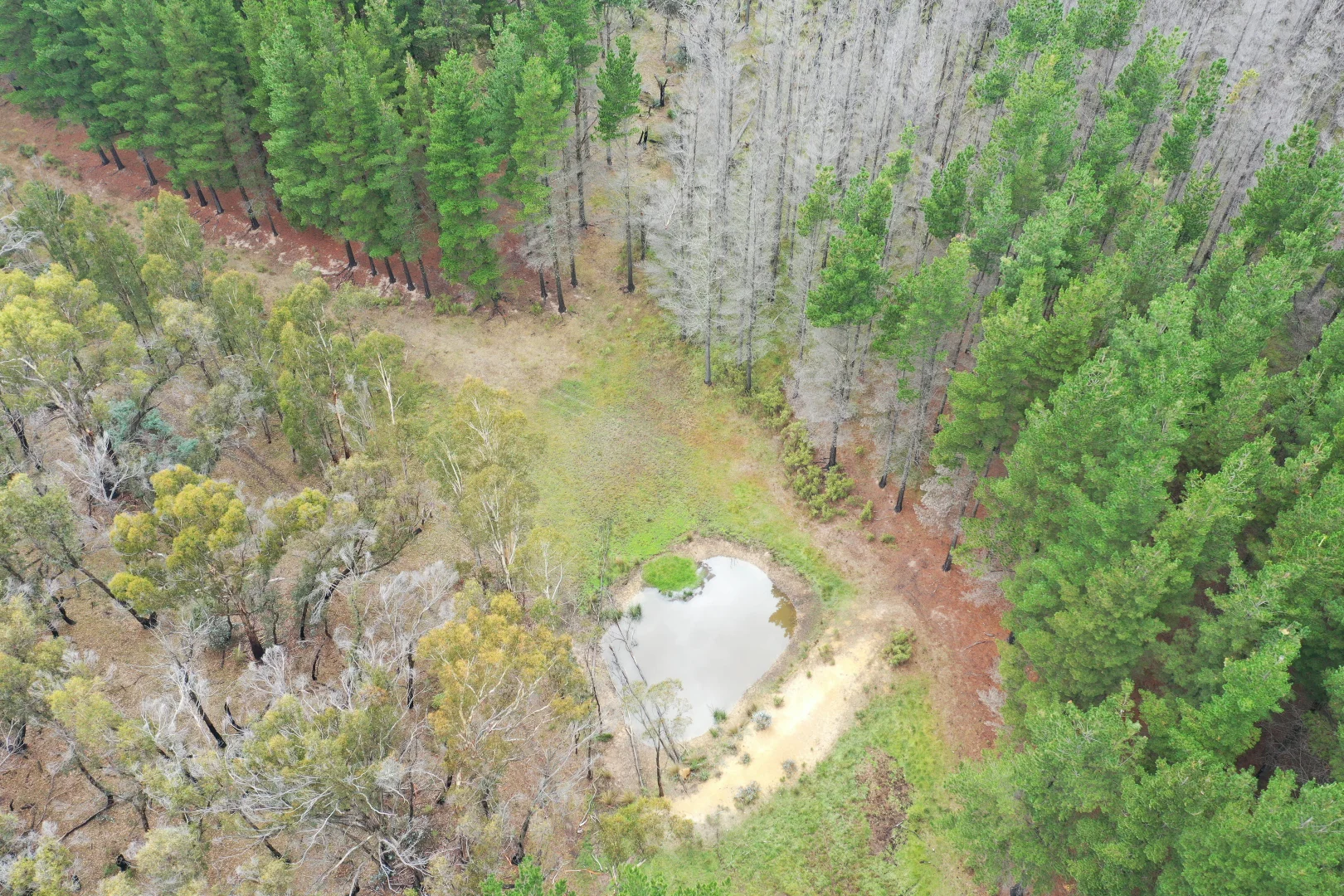 Additional image 3 of 186 Old Station Creek Road, Taralga NSW 2580