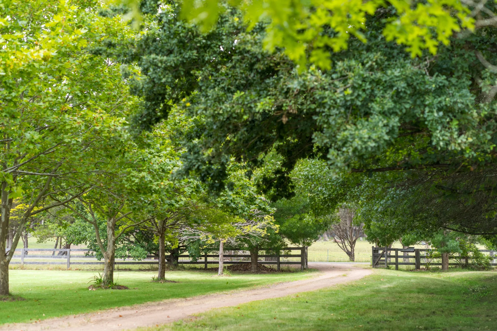 Additional image 13 of 310 Sproules Lane, Glenquarry NSW 2576