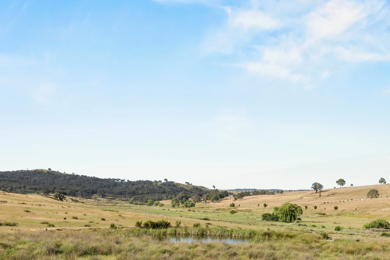 Additional image 8 of Lot 38 Gentle Destiny Road, Boorowa NSW 2586
