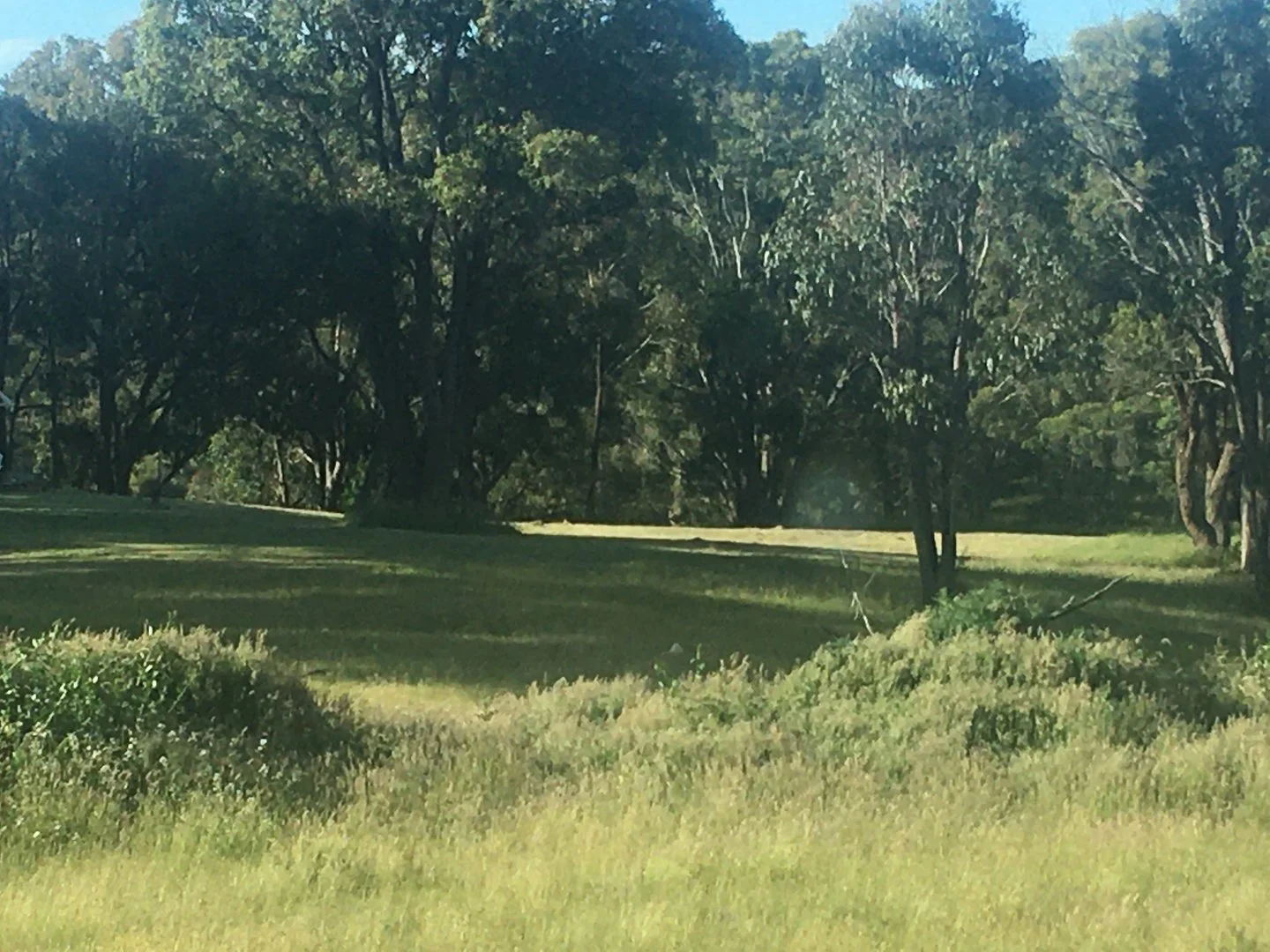 Additional image 9 of 1094 Nottingham Road, Wee Jasper NSW 2582