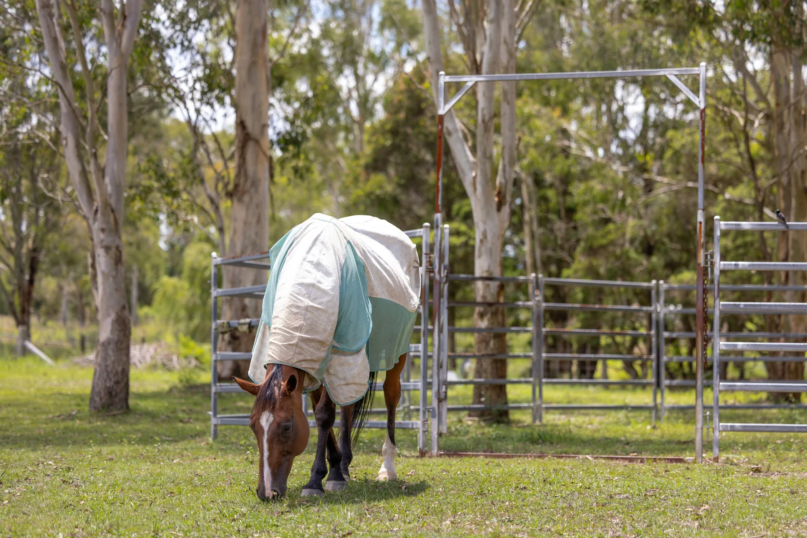 Additional image 21 of 2 Kylie Close, Taree NSW 2430