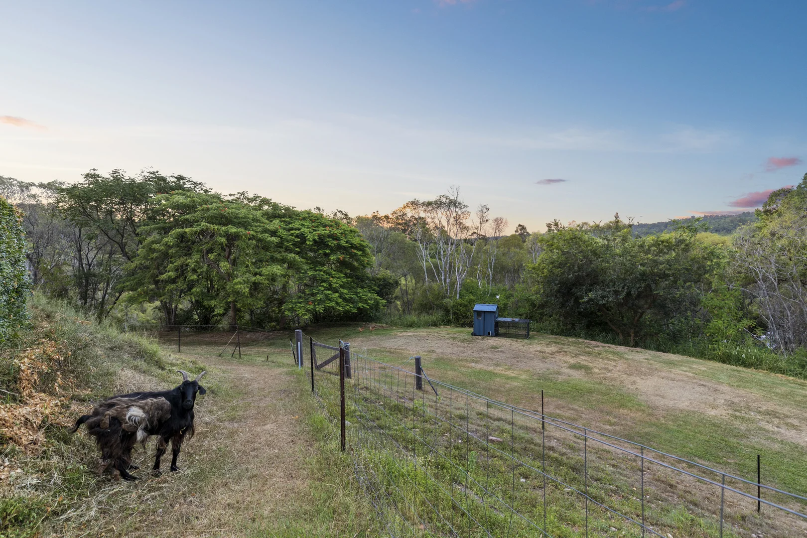 Additional image 29 of 952 Bunya Road, Draper QLD 4520