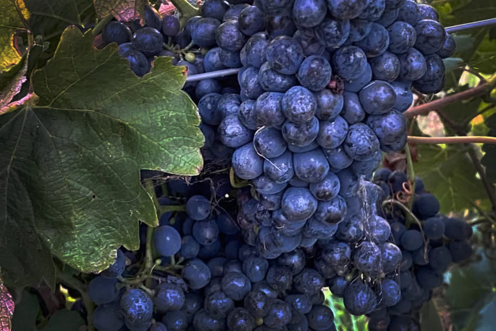 Additional image 22 of 470 Northern Highway, Heathcote VIC 3523