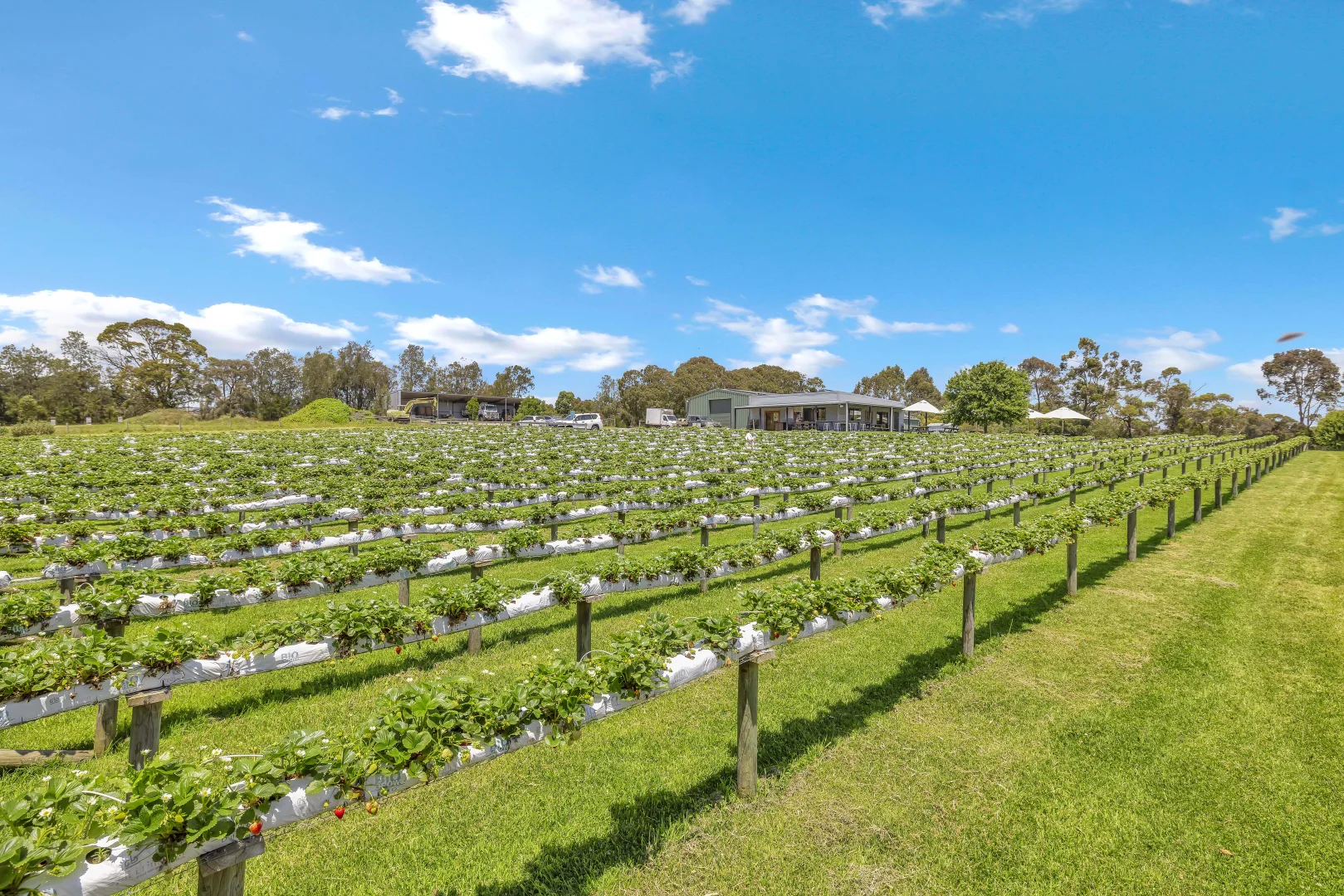 Additional image 10 of 2185 Dalyston-Glen Forbes Road, Glen Forbes VIC 3990