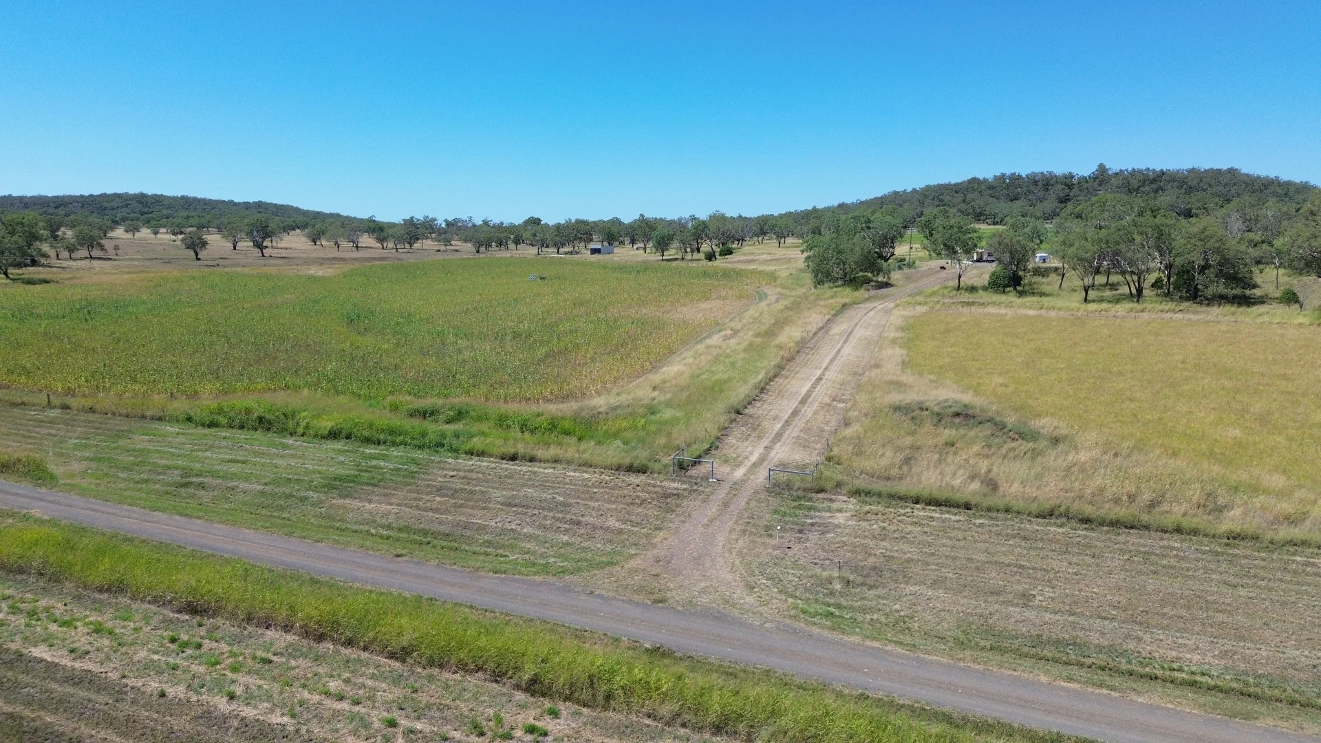Additional image 7 of 242 Ehrlich Road, Linthorpe QLD 4356