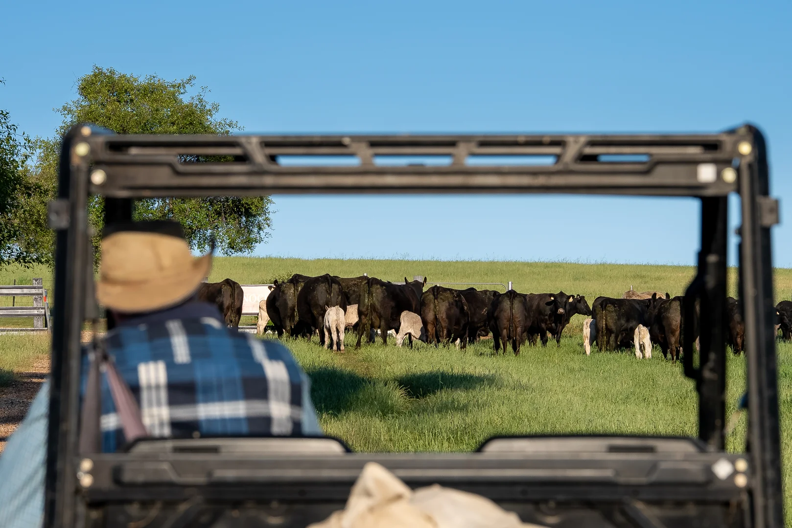 Additional image 21 of 141 Horspool Way, Orange NSW 2800