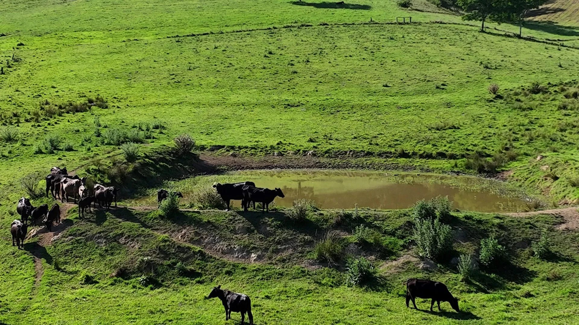Additional image 27 of 5985 Oxley Highway, Ellenborough NSW 2446