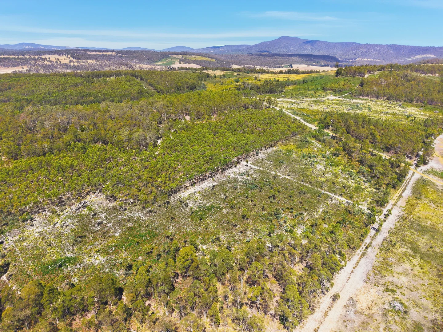 Additional image 10 of 422 Levendale Back Road, Levendale TAS 7120