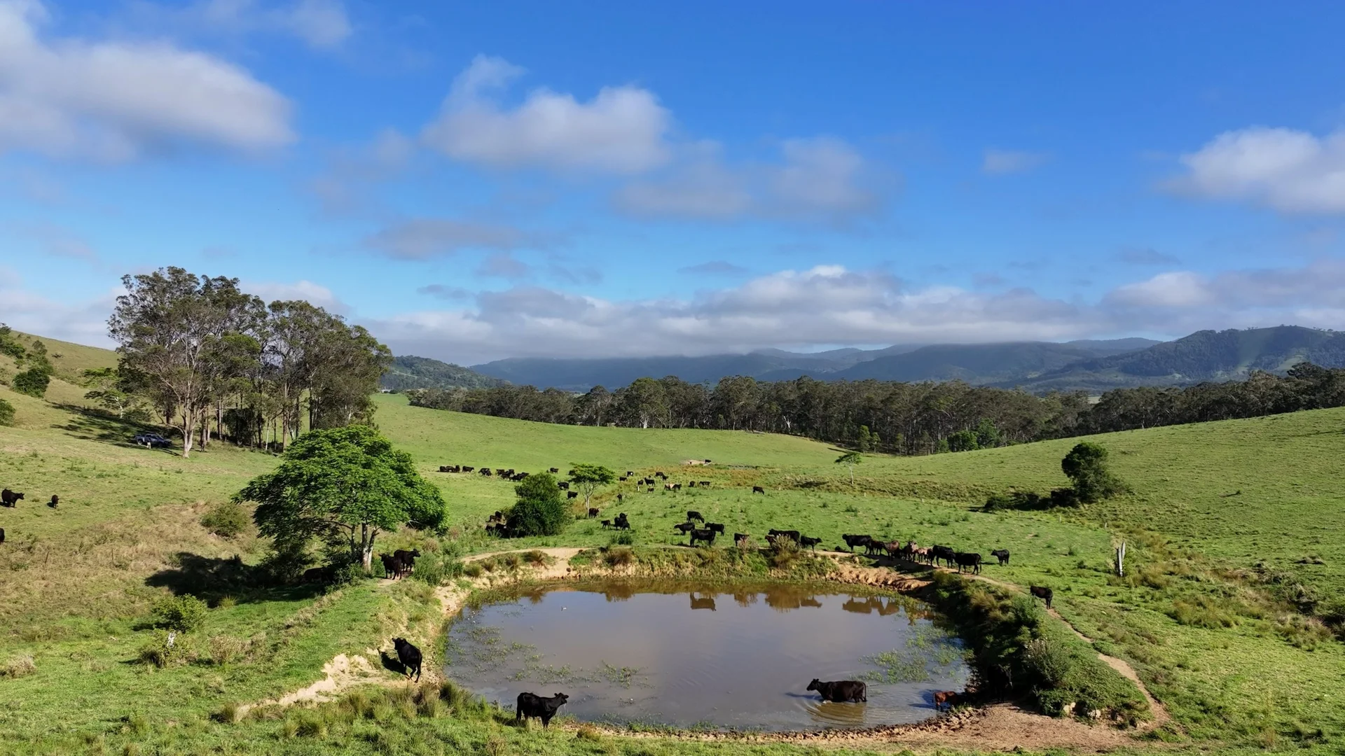 Additional image 25 of 5985 Oxley Highway, Ellenborough NSW 2446