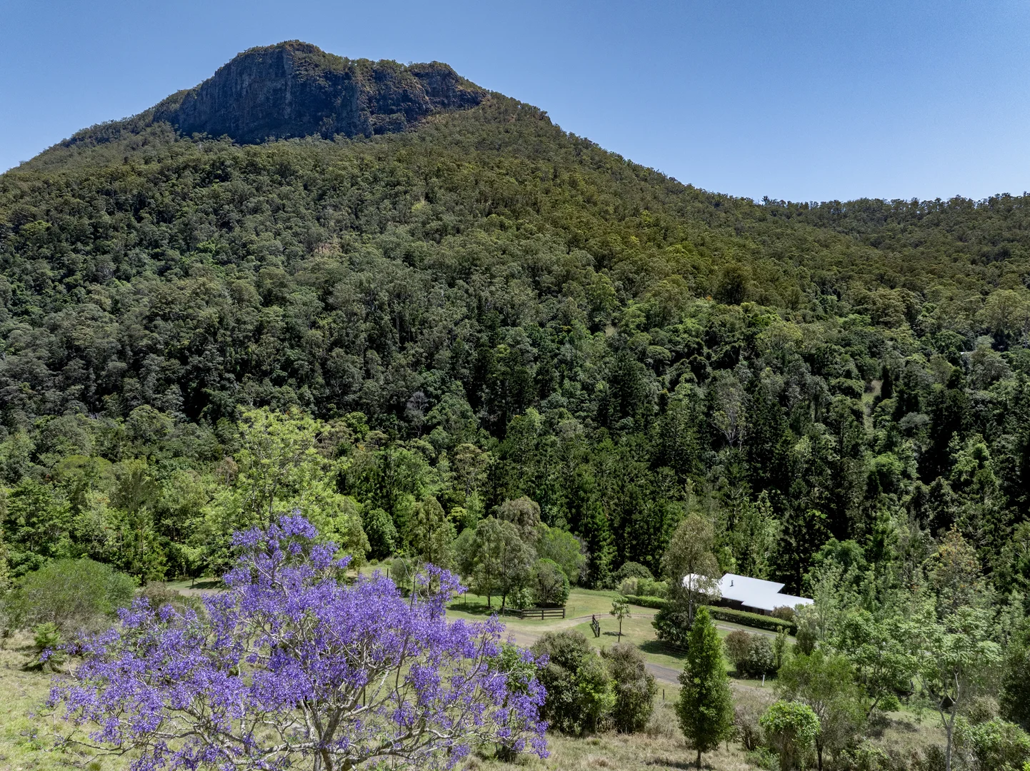 Additional image 50 of 3196 Christmas Creek Road, Lamington QLD 4285